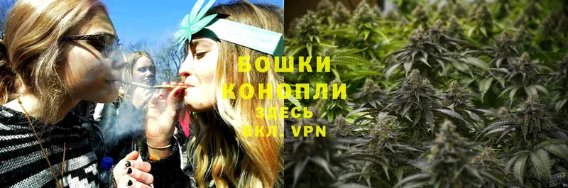 наркошоп  Заречный  shop Telegram  Конопля Ganja 